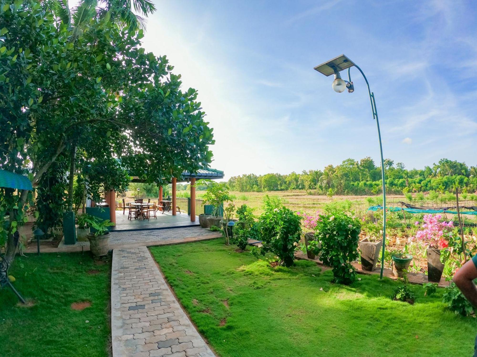 קטרגמה Mailagama Cinnamon Residence מראה חיצוני תמונה