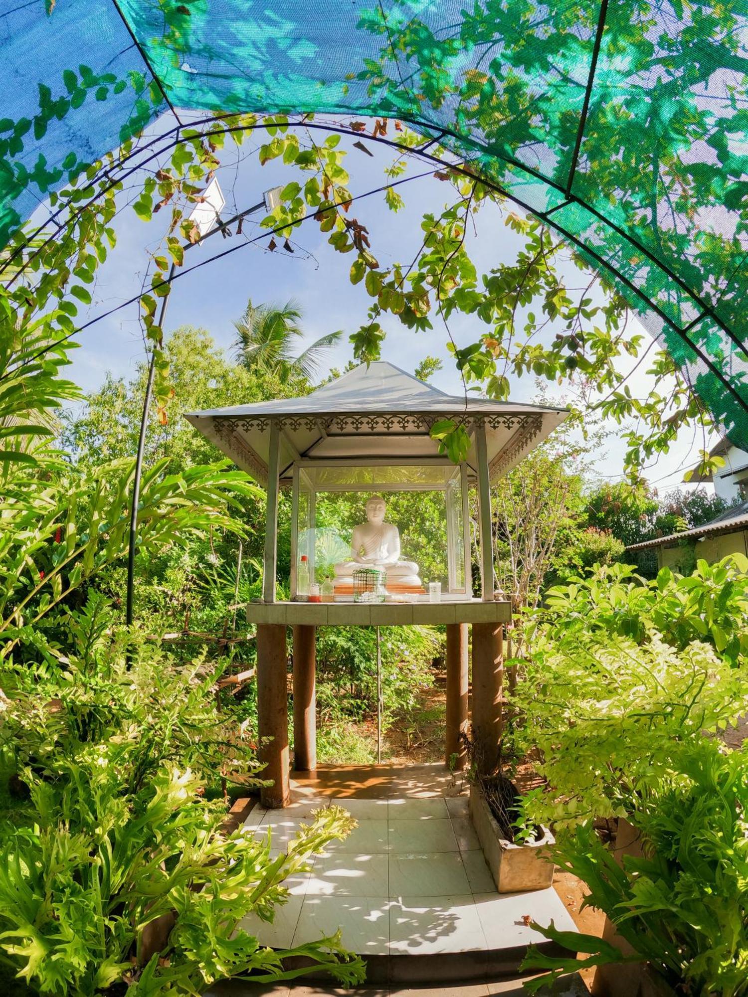 קטרגמה Mailagama Cinnamon Residence מראה חיצוני תמונה