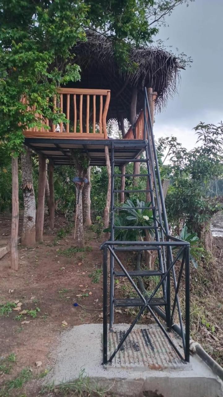 קטרגמה Mailagama Cinnamon Residence מראה חיצוני תמונה