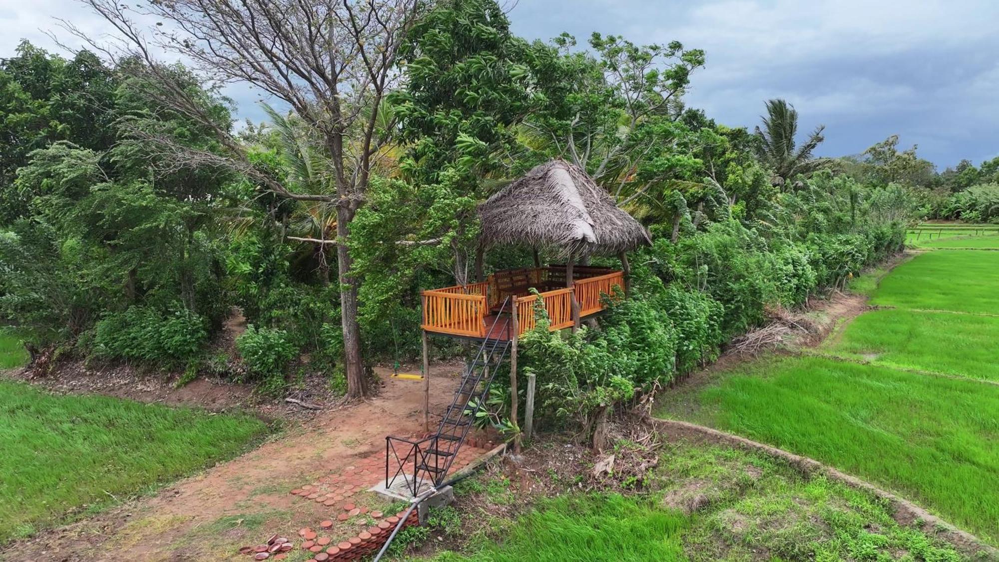 קטרגמה Mailagama Cinnamon Residence מראה חיצוני תמונה
